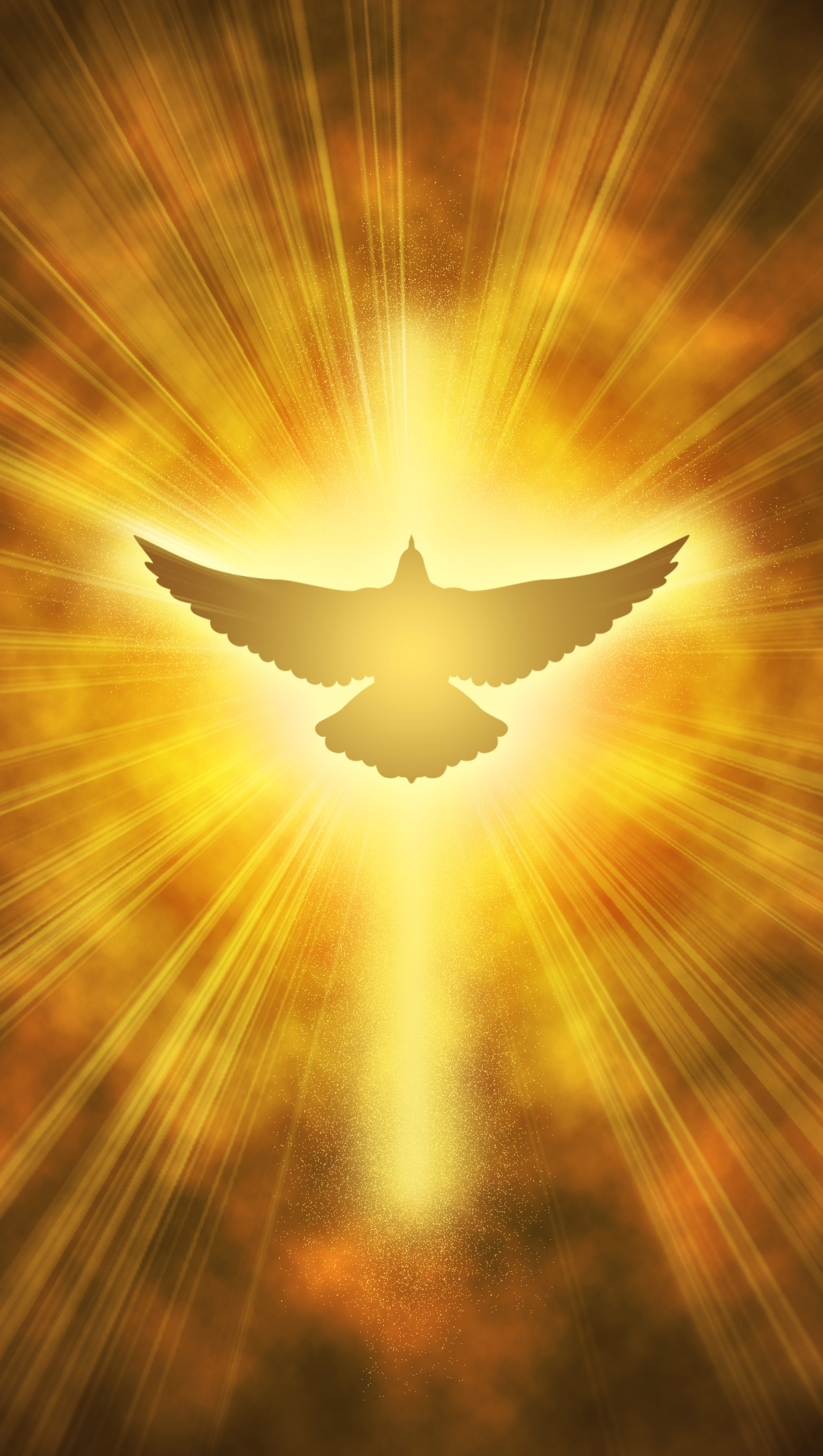 dove 3951312 by jeffjacobs1990 pixabay pfarrbriefservice