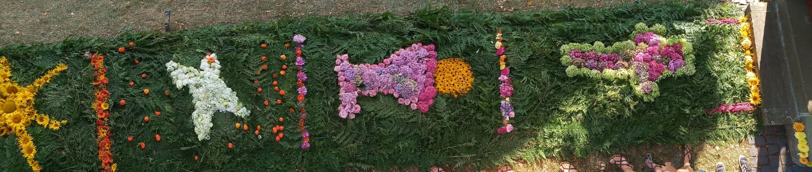 Blumenteppich 2022 Laurentius