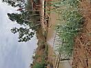 Reise Israel_11