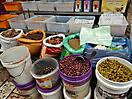 Reise Israel_46
