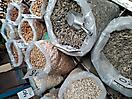 Reise Israel_7