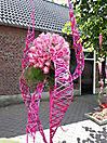 Rosenfestival_3