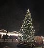 Fahrt zum Weihnachtsmarkt 2017_16