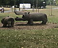 Westfalenpark in Dortmund_6