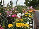 dscn0519
