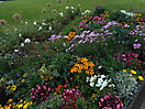 dscn0520