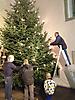 Aufstellen der Christbäume