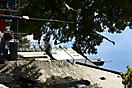 Abbau der Glocken_21