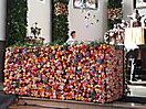 kfd - Rosenfestival Lottum 2018