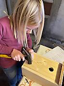 Nistkästen bauen