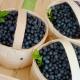 Caritas Seniorenausflug zum Blaubeer-Café Herber