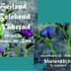 Ausstellung 