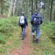 Wanderung in den Sonnenaufgang