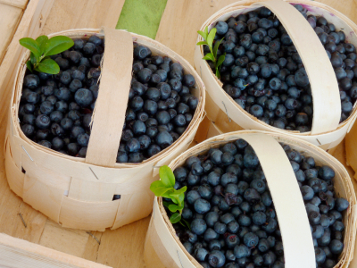 Caritas Seniorenausflug zum Blaubeer-Café Herber