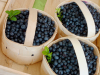 Caritas Seniorenausflug zum Blaubeer-Café Herber