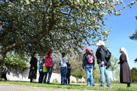 Angebot vom Geistlichen Zentrum Franziskus im Mutterhaus