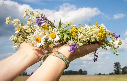 Kräuterweihe in St. Marien