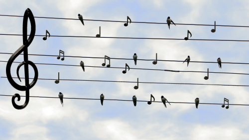 An alle Musikinteressierte!