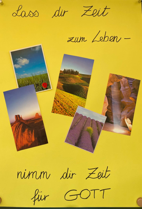 Schaubild